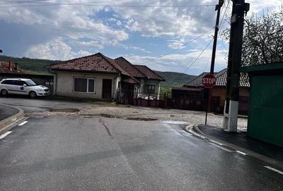 Casă cu 3 camere cu Teren 2571 Mp în Central - 1