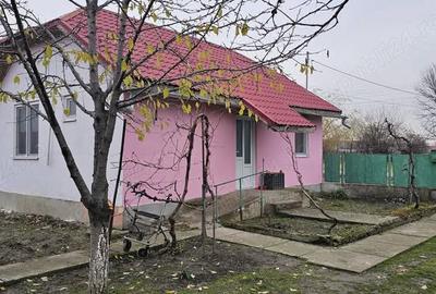 Casă cu 2 camere cu Teren 1439 Mp în Cruceni - 6