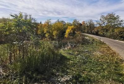 Teren de 2500 mp, în Vitioara de Sus - 6