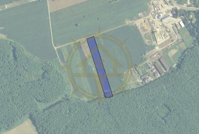 Teren de 9247 mp, în Snagov - 4