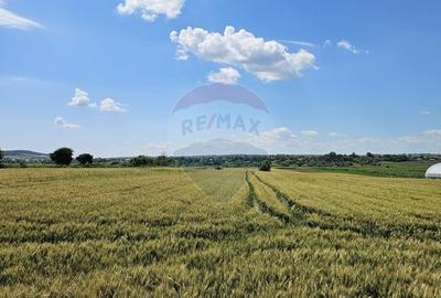 Teren Construcții intravilan de 15000 mp, în Prelipca - 9