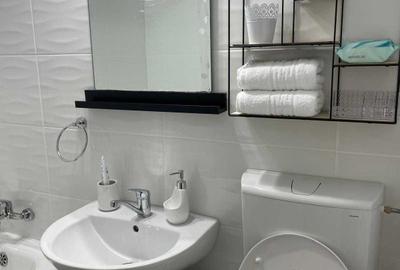 Garsonieră decomandată, mobilată în Banu Manta - 1