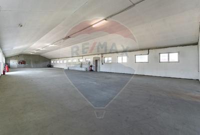 Spațiu industrial, de 361.70001220703 mp, în Central - 11