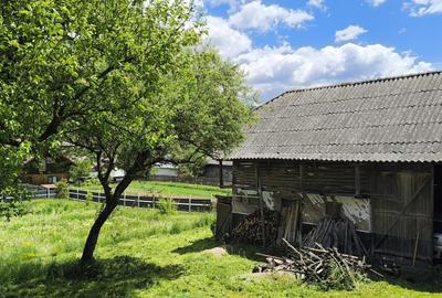 Casă cu 4 camere în Bolovăniș - 11