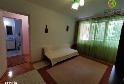 Apartament cu 2 camere semidecomandat în Aleea Carpați - 1