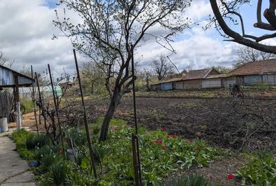 Casă cu 3 camere în Traian - 5