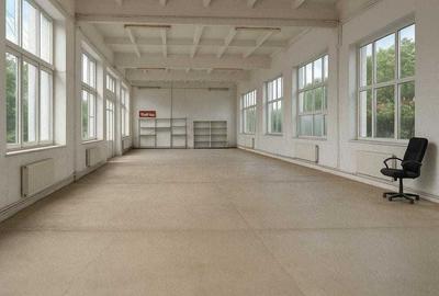 Spațiu comercial, de 1,000 mp, în Roșu