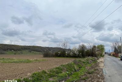 Teren de 2547 mp, în Vălenii de Munte - 1