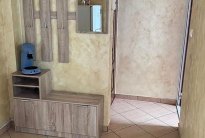 Apartament cu 2 camere semidecomandat în Dunărea - 6