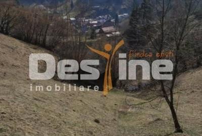 Teren de 5000 mp, în Rucăr