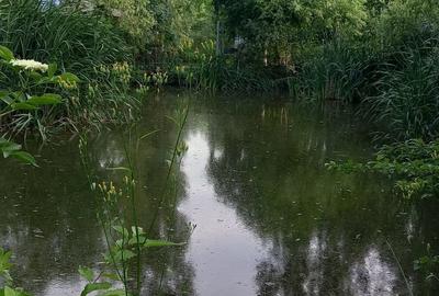 Casă cu 3 camere cu Teren 500 Mp în Dorohoi