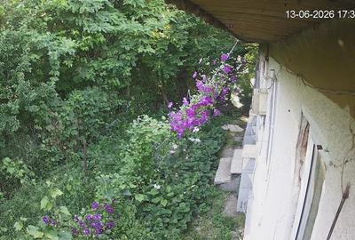 Casă cu Teren 5000 Mp în Cornu - 8