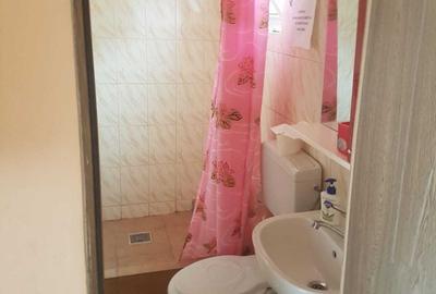 Apartament decomandat în Delfinariu - 4