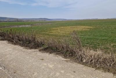 Teren de 3300 mp, în Șimnicu de Sus - 1