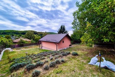 Casă cu 2 camere cu Teren 2647 Mp în Valea Mare - 11