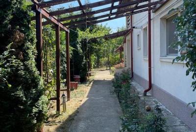 Casă cu 5 camere cu Teren 580 Mp în Mogoșoaia - 7