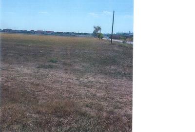 Teren agricol extravilan de 9800 mp, în Orțișoara - 3