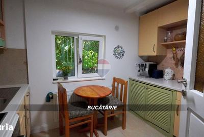 Casă cu 3 camere cu Teren 388 Mp în Valea Borcutului