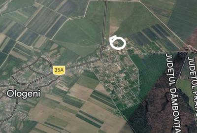 Teren de 1150 mp, în Buriaș - 2