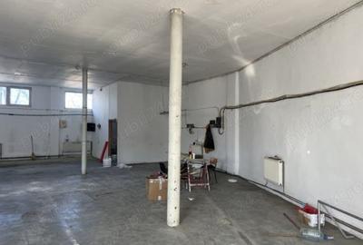 Spațiu comercial, de 500 mp, în Buziașului