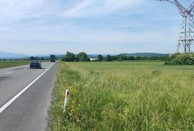 Teren de 10889 mp, în Băcia - 4