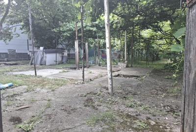 Spațiu comercial, în Griviței