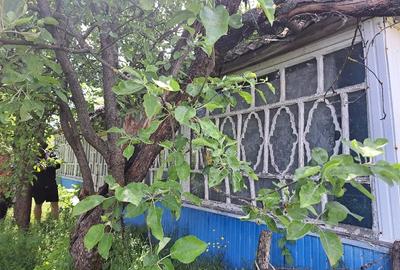 Teren de 3448 mp, în Cișmănești