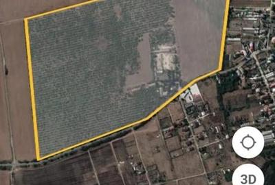 Teren Construcții intravilan de 375600 mp, în Mogoșești - 4