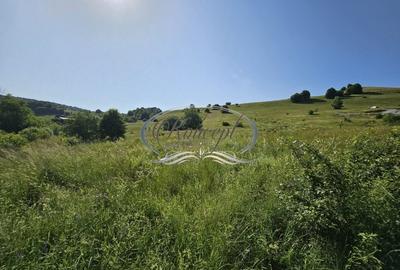 Teren Construcții intravilan de 2000 mp, în Sălicea - 6