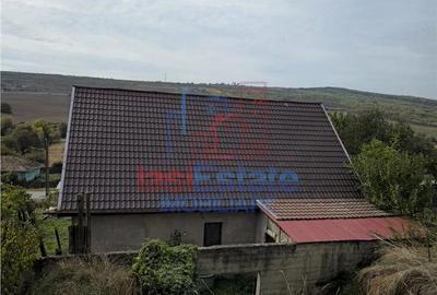 Casă cu 2 camere cu Teren 3841 Mp în Poiana (Schitu Duca)
