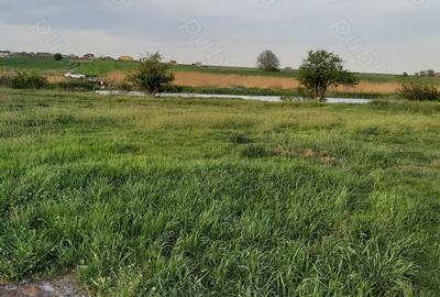 Teren de 1000 mp, în Berceni