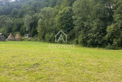 Teren Construcții intravilan de 4500 mp, în Dâmbovicioara - 6