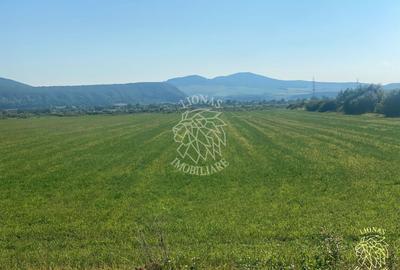 Teren agricol extravilan de 3000 mp, în Șieu-Măgheruș - 3