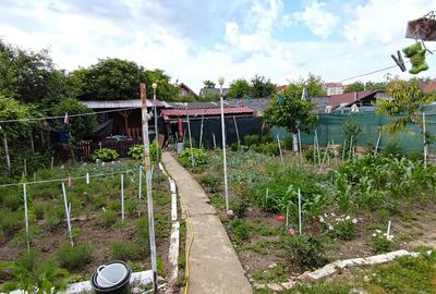 Casă individuală cu 5 camere cu Canalizare în Terezian - 3