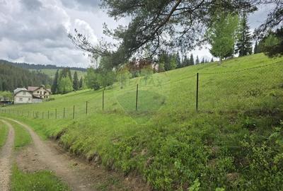 Teren agricol extravilan de 5034 mp, în Iacobeni - 6