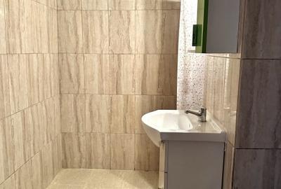 Apartament cu 2 camere semidecomandat, mobilat în Cetate - 10