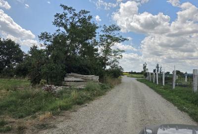 Teren de 5000 mp, în Buriaș