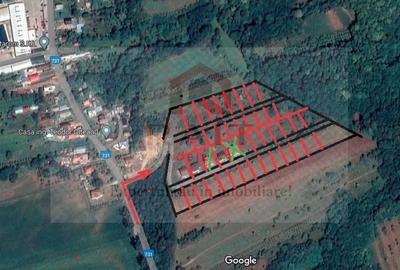 Teren Construcții intravilan de 650 mp, în Dârmănești - 5