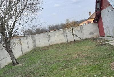 Casă cu Teren 11000 Mp în Pluta - 2