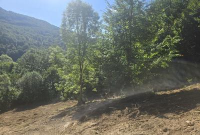Teren de 2000 mp, în Teșila