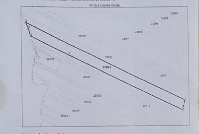 Teren de 27500 mp, în Belciugatele - 1