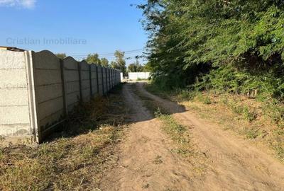 Teren intravilan de 522 mp, în Cazasu - 3