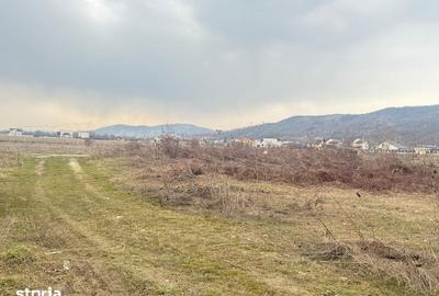 Teren de 3000 mp, în Aninoasa - 11