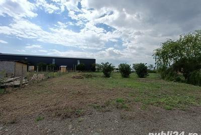Teren de 722 mp, în Mărăcineni - 2