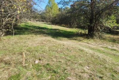 Teren de 8600 mp, în Baia de Fier - 6