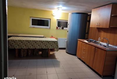 Casă cu 2 camere cu Teren 50 Mp în Andrei Mureșanu