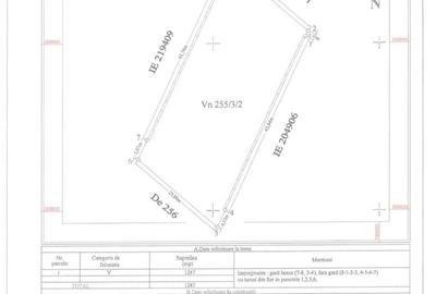 Teren Construcții intravilan de 1247 mp, în Palazu Mare - 4