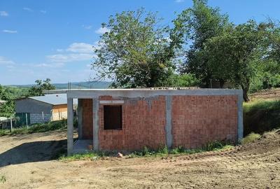 Casă cu 4 camere în Laza