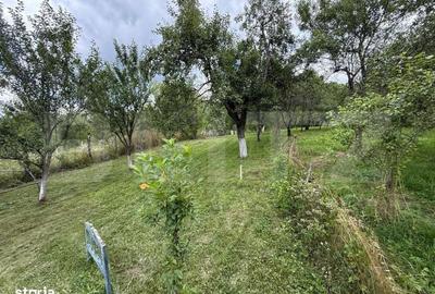 Casă cu 4 camere în Bădislava
