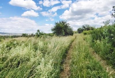 Teren agricol intravilan de 700 mp, în Sopor - 11